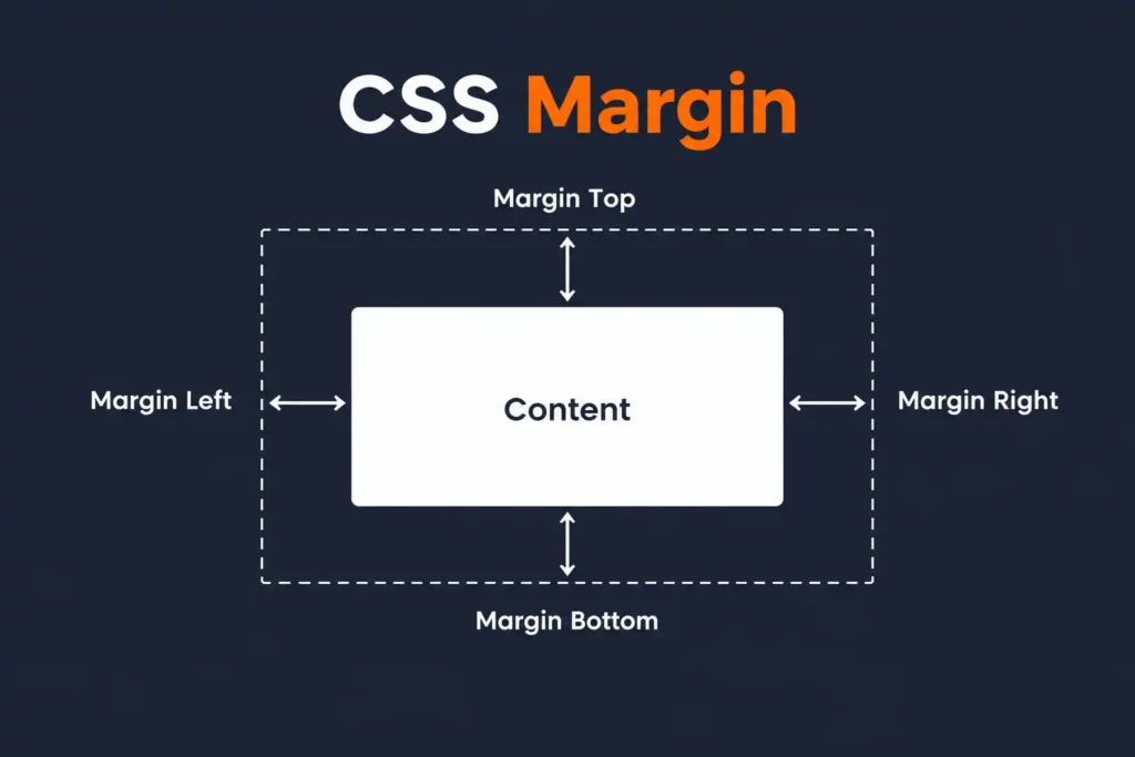 CSS Margin I How to add Margin in CSS