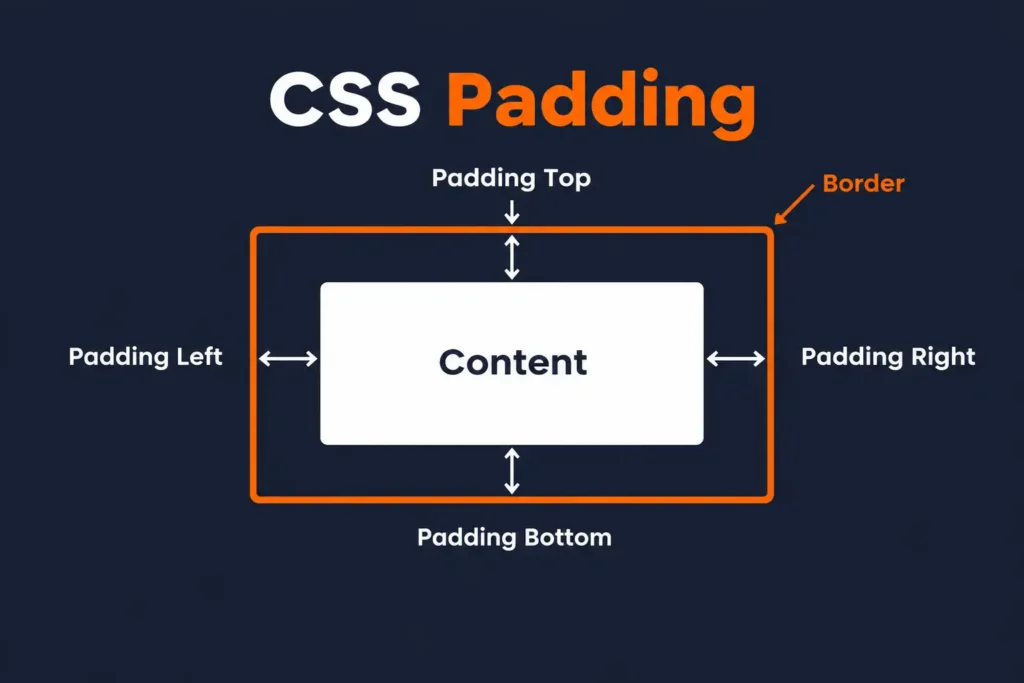 CSS Padding CSS Padding I How to add Padding in CSS
